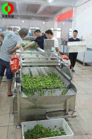 客戶親臨我司實(shí)地考察工廠及蔬果切割清洗生產(chǎn)線設(shè)備！