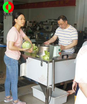 蔬果分瓣機現(xiàn)場測試，客戶滿意切割效果！