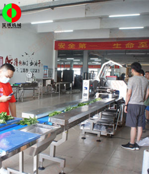 枕式蔬果包裝生產(chǎn)線,客戶現(xiàn)場測試驗收！