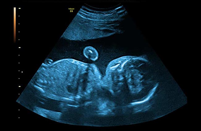 1564736618331257.jpg 1.jpg