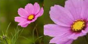 1574062202164838.jpg 只需一部攝像機即可進行動態實時流式傳輸5.jpg